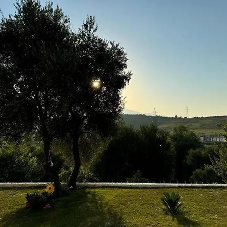 Bakalli アパート *